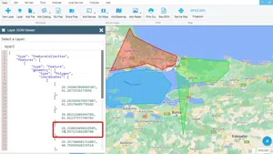 View GeoJson Format Of A Layer