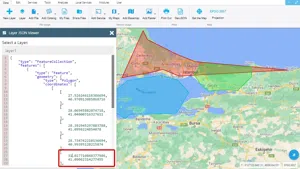 View GeoJson Format Of A Layer