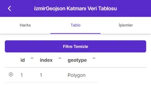 Attribute Table - Text Queries And Spatial Queries